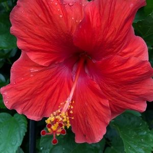 Meet your Posher, Beverly